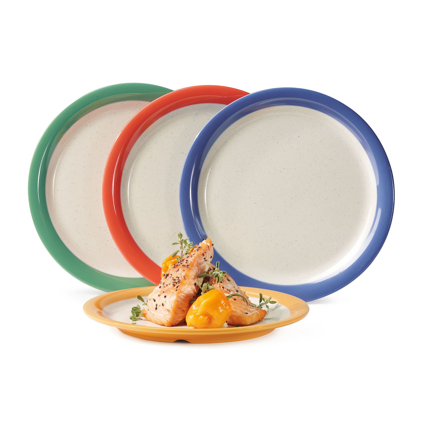 9" Narrow Rim Plate (12 Pack)